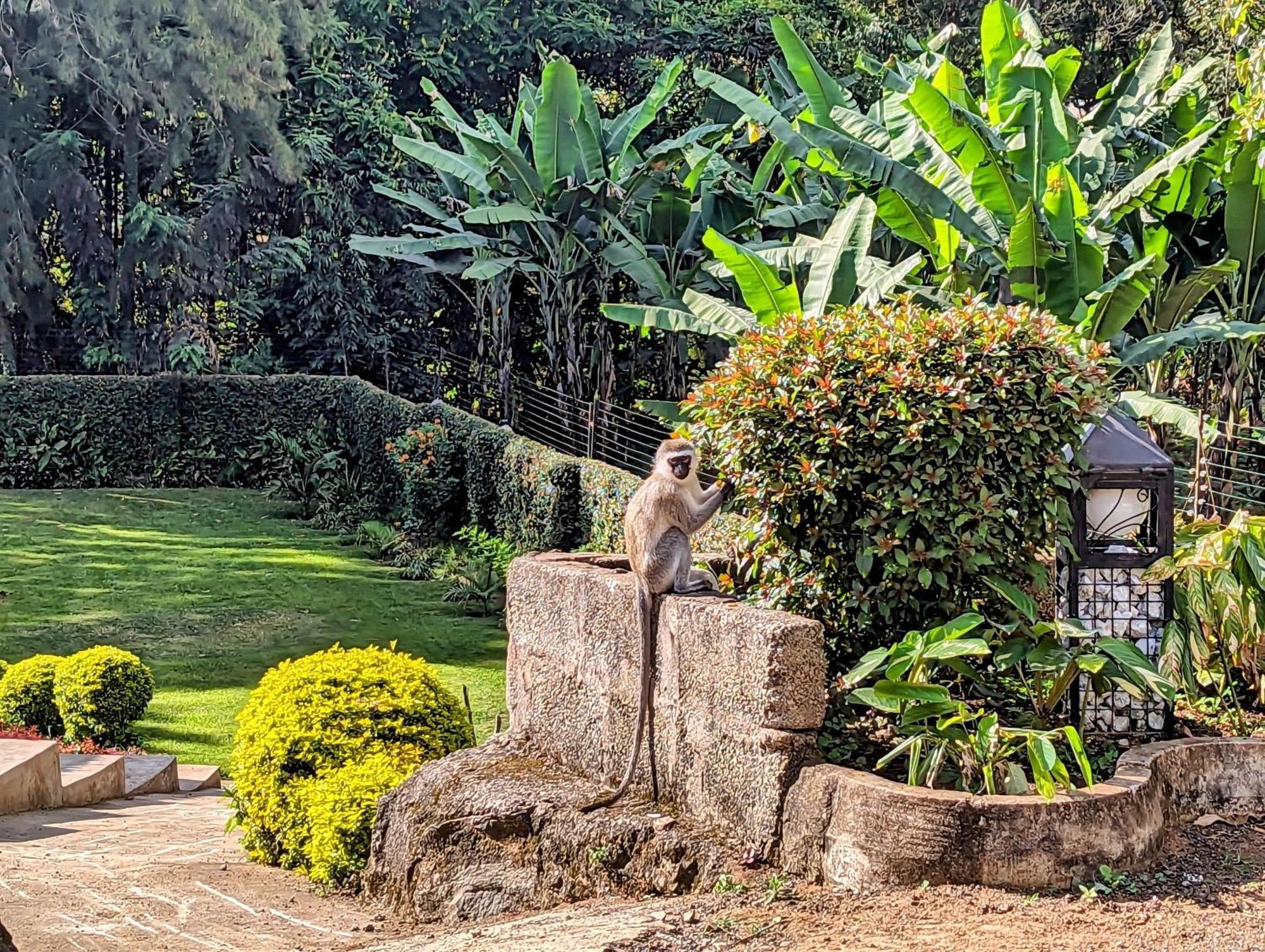 Mvuli Hotels Arusha Exterior photo